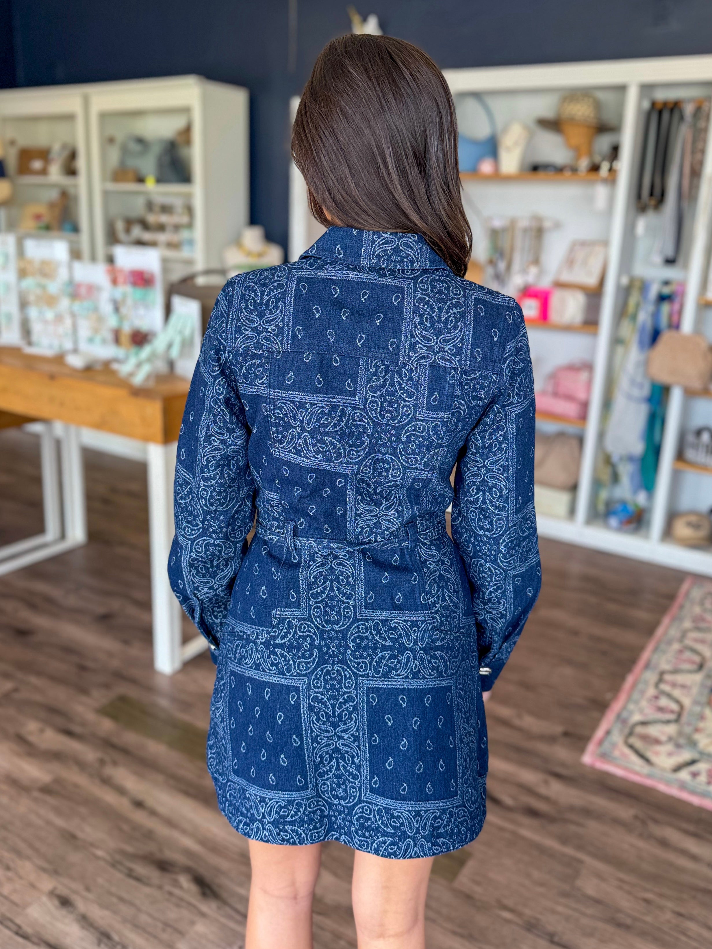Delphi Jacquard Denim Dress