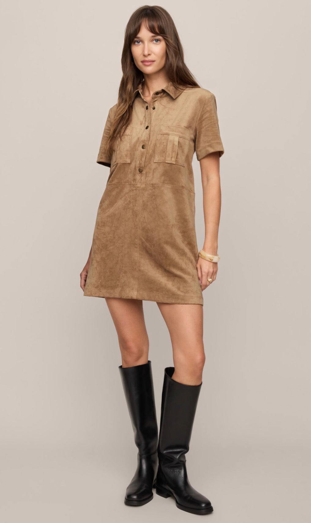 Leone Suede Mini Dress
