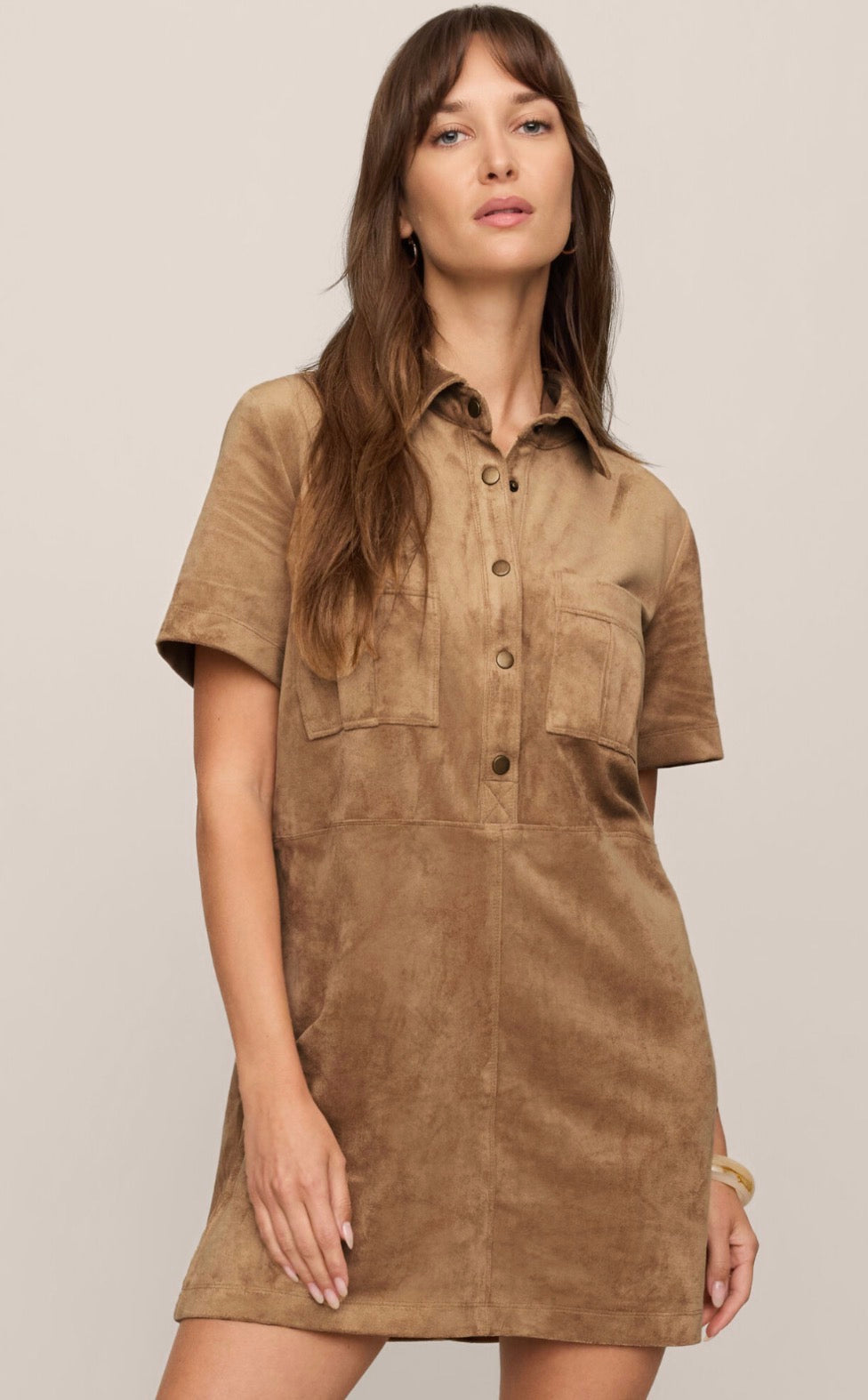Leone Suede Mini Dress