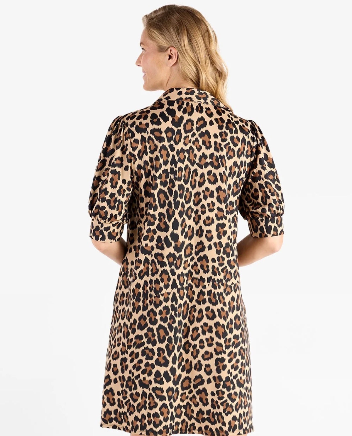 Emerson Dress in Cheetah