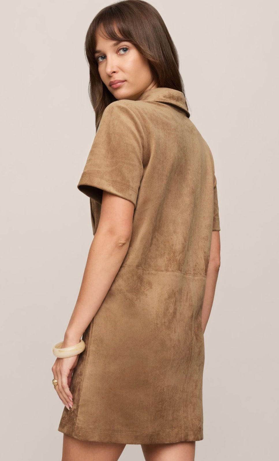 Leone Suede Mini Dress