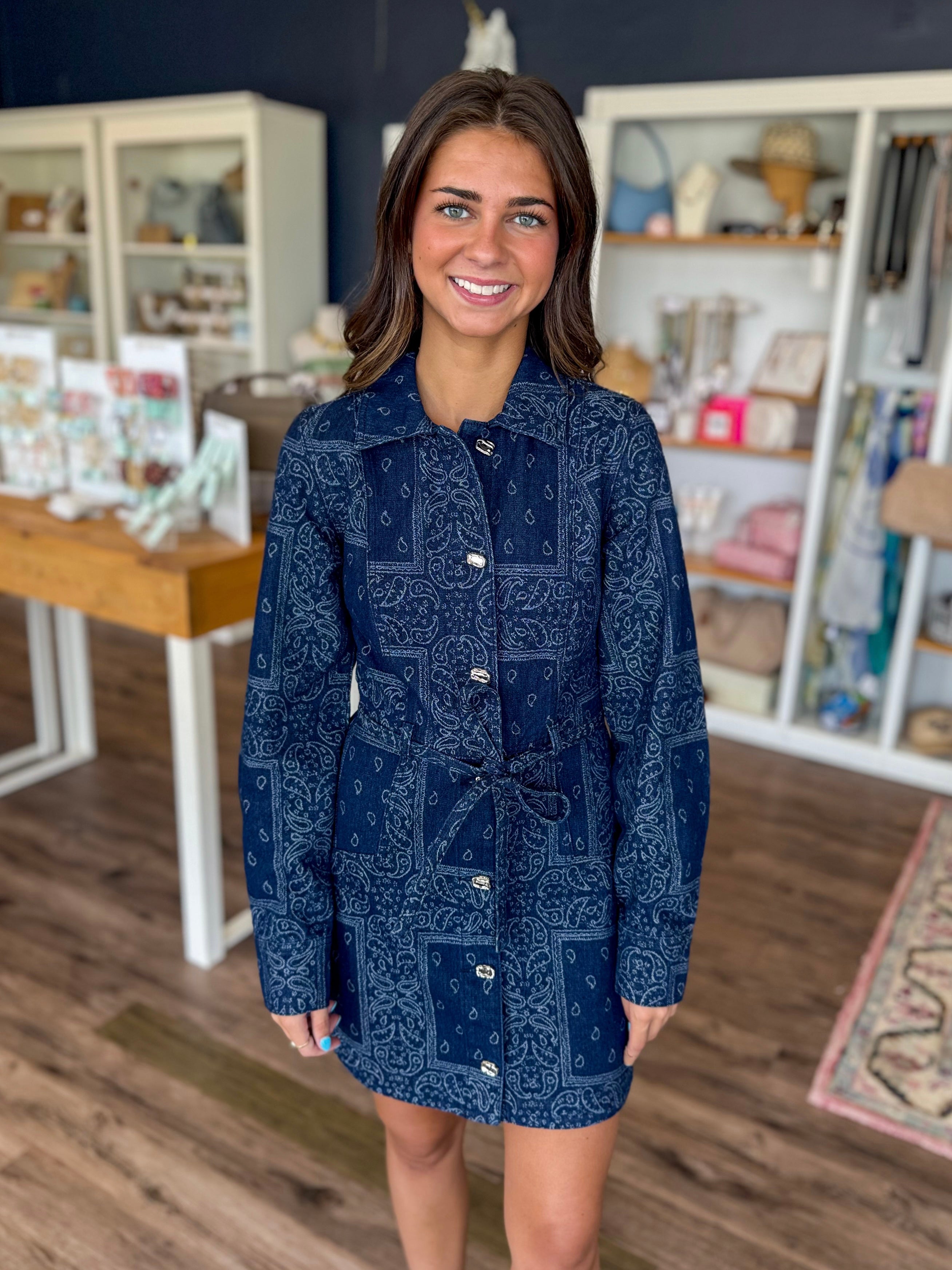 Delphi Jacquard Denim Dress