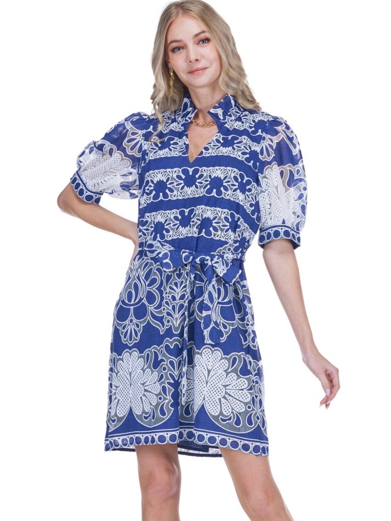 Navy Petal Lace Collar Chemise Dress