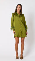 Crawford Dress in Martini
