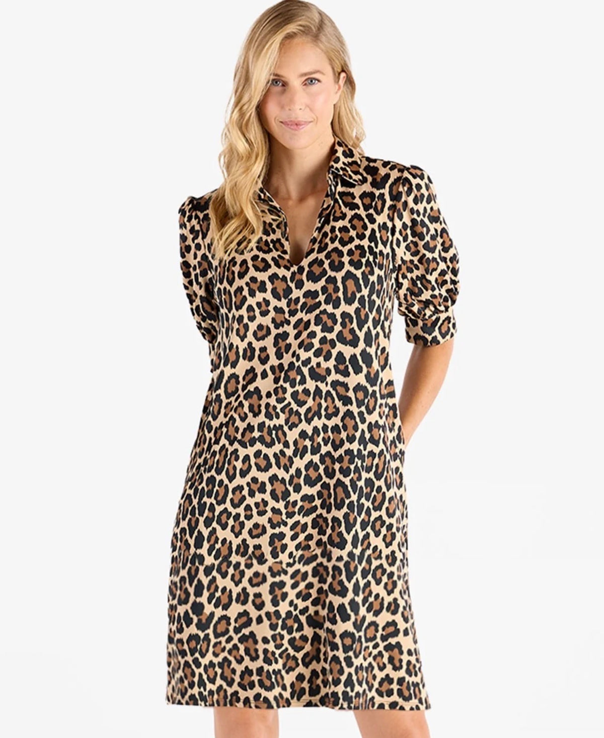 Emerson Dress in Cheetah