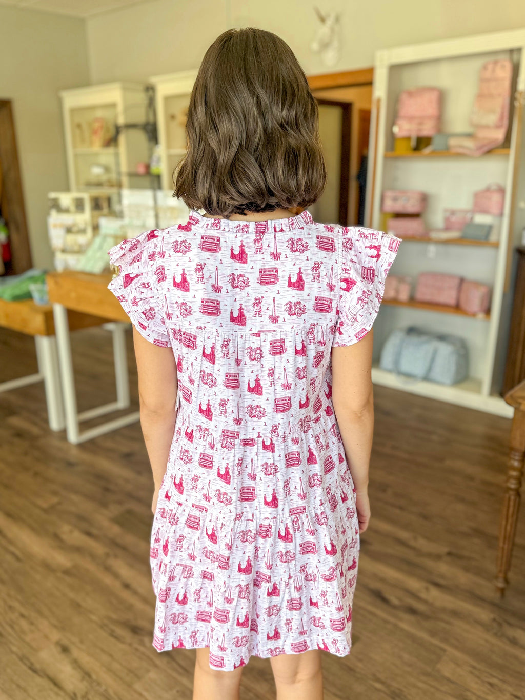 The Team Toile Carolina Gamecocks Dress