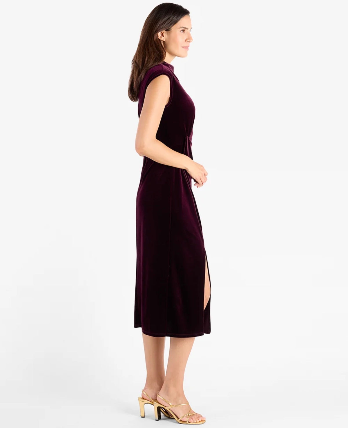 Autumn Stretch Velvet Dress in Merlot